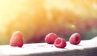 手机号验证码轰炸免费